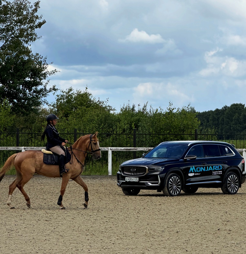 GEELY Техцентр Гранд на межрегиональных соревнованиях в конно-спортивном комплексе «Вереница»